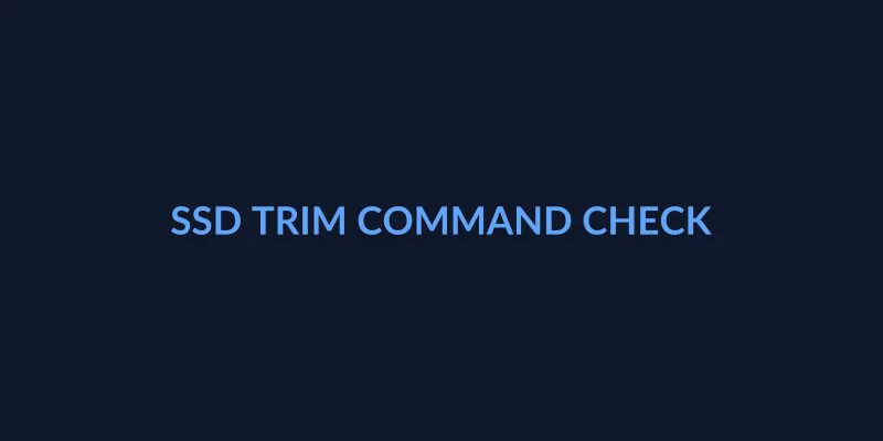 ssd trim command check