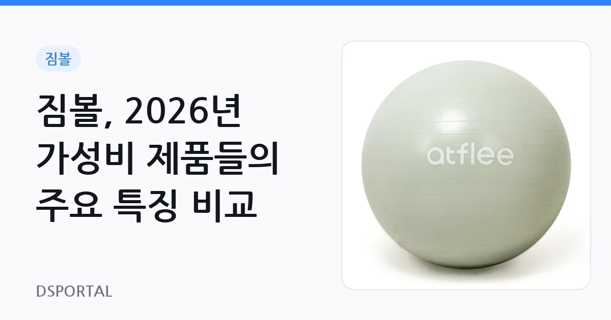 짐볼, 2026년 가성비 제품들의 주요 특징 비교 1 짐볼, 2026년 가성비 제품들의 주요 특징 비교