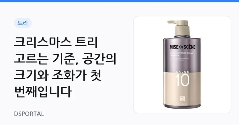 크리스마스 트리 고르는 기준, 공간의 크기와 조화가 첫 번째입니다